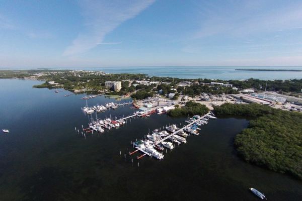 Mangrove Marina<br>Tavernier, Florida